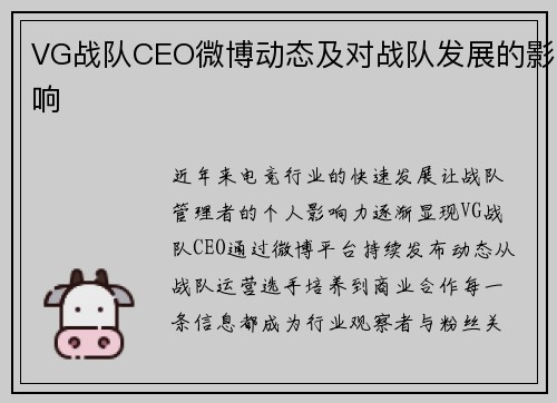 VG战队CEO微博动态及对战队发展的影响