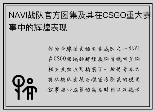 NAVI战队官方图集及其在CSGO重大赛事中的辉煌表现