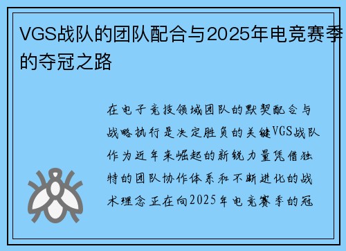 VGS战队的团队配合与2025年电竞赛季的夺冠之路
